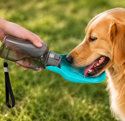 Bouteille d'Eau Portable pour Chien
