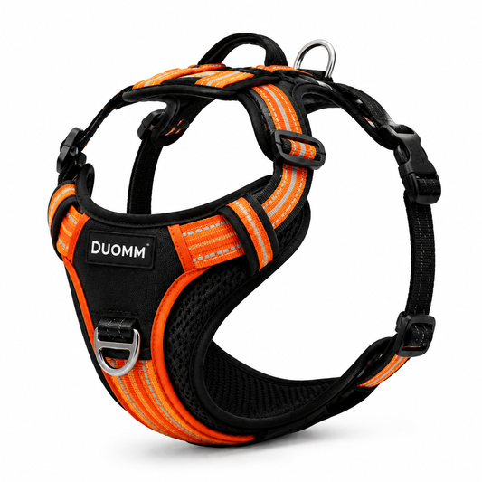 Harnais Anti-Traction Chien Confort et Sécurité