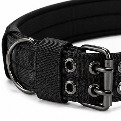 Collier Tactique Nylon Chien