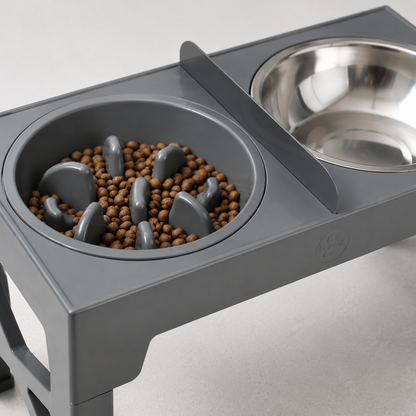 Support Bols Surélevés Réglables pour Chien
