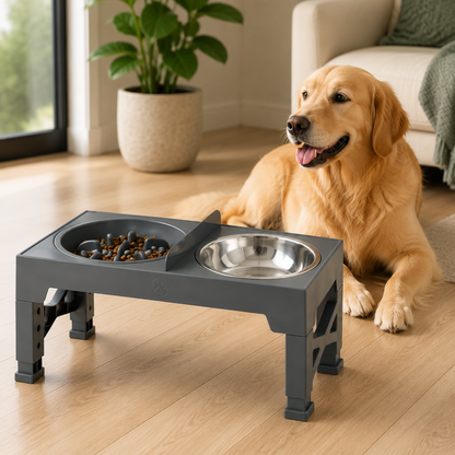 Support Bols Surélevés Réglables pour Chien