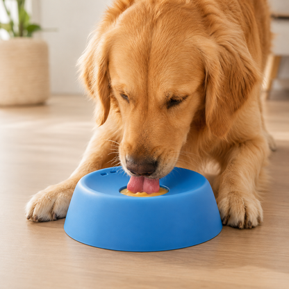 Bol Mangeoire Lente Anti-Étouffement Chien