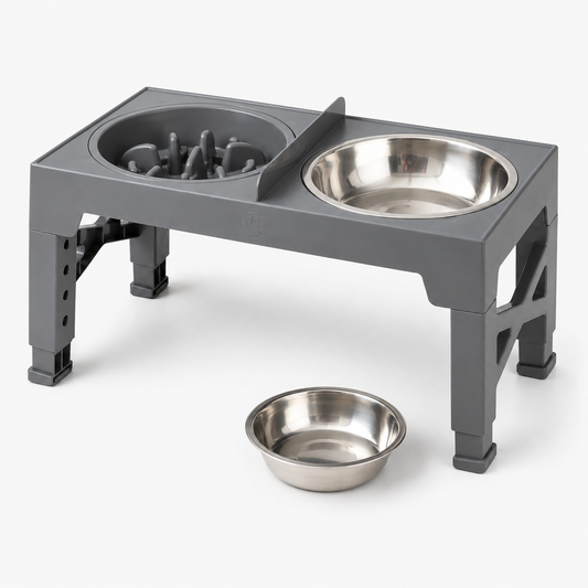 Support Bols Surélevés Réglables pour Chien