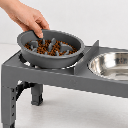 Support Bols Surélevés Réglables pour Chien