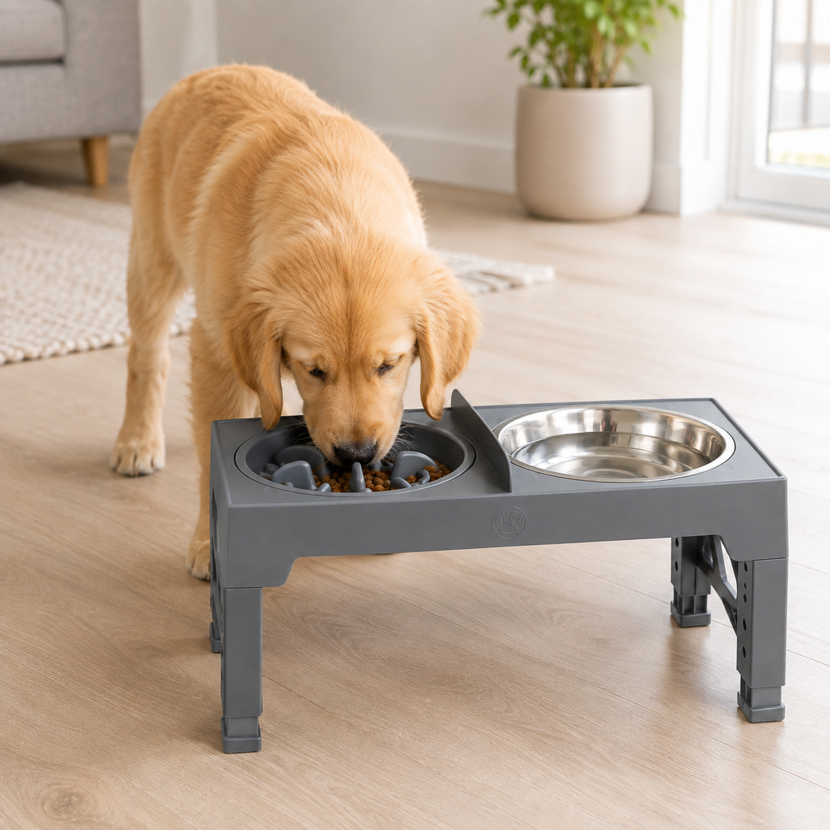 Support Bols Surélevés Réglables pour Chien