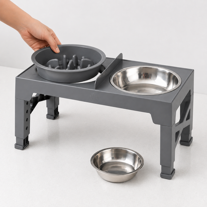 Support Bols Surélevés Réglables pour Chien