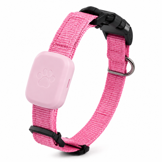 Traceur GPS Étanche pour Animaux - Suivi Temps Réel