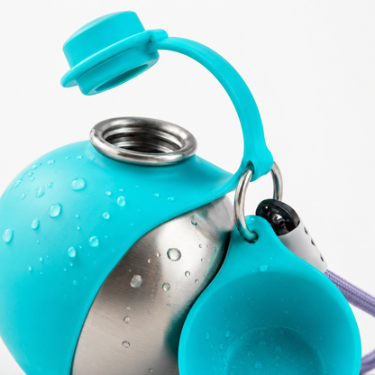 Bouteille d'Eau Nomade pour Chien en Acier Inoxydable