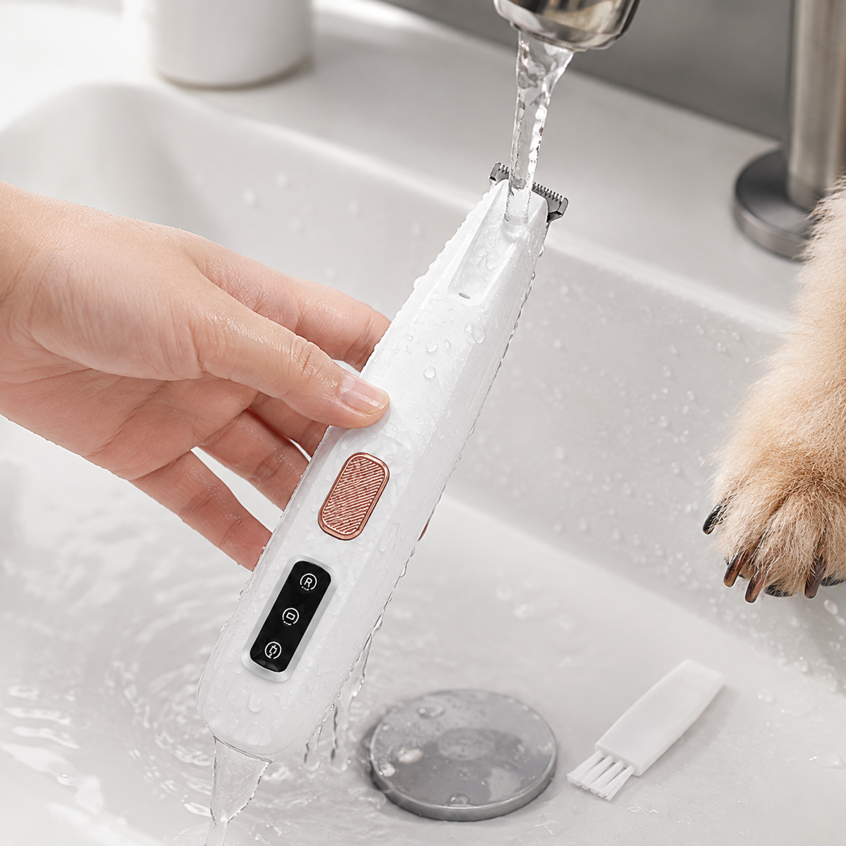 Tondeuse Chien Étanche avec Lumière LED
