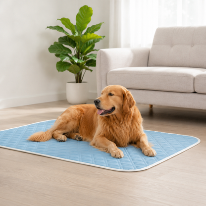 Tapis Rafraîchissant Soie Glacée pour Chien et Chat