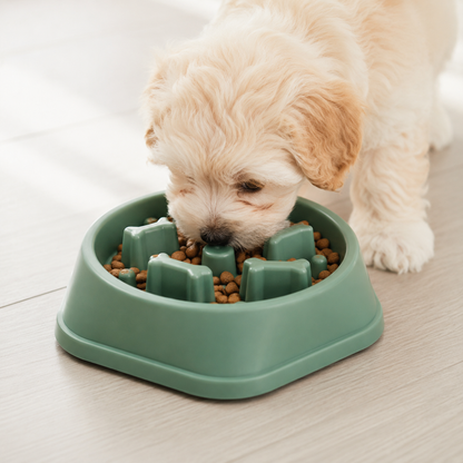 Bol Ralentisseur Anti-Étouffement pour Chiens et Chats