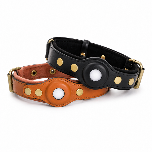 Collier Cuir avec Étui AirTag pour Chien