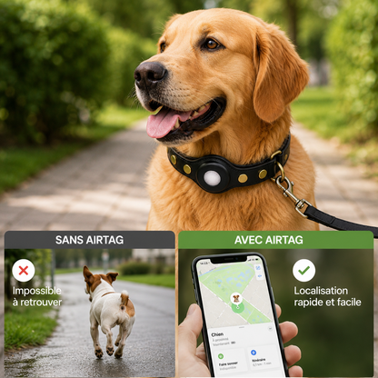 Collier Cuir avec Étui pour Traceur Bluetooth pour Chien