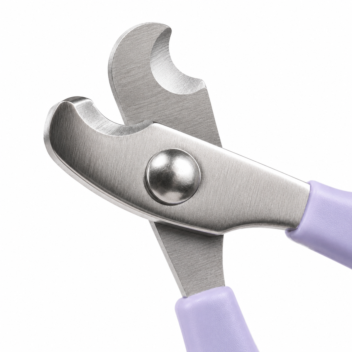 Coupe griffe Chien | Professionnel