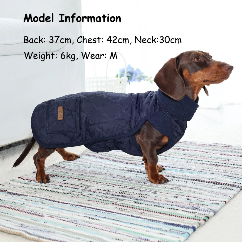 Manteau Matelassé pour Teckel