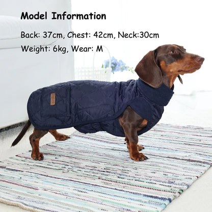 Manteau Matelassé pour Teckel
