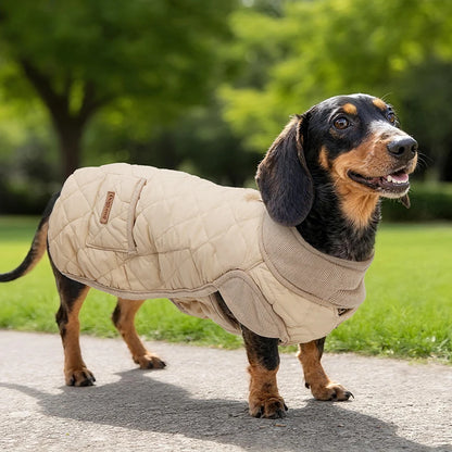 Manteau Matelassé pour Teckel