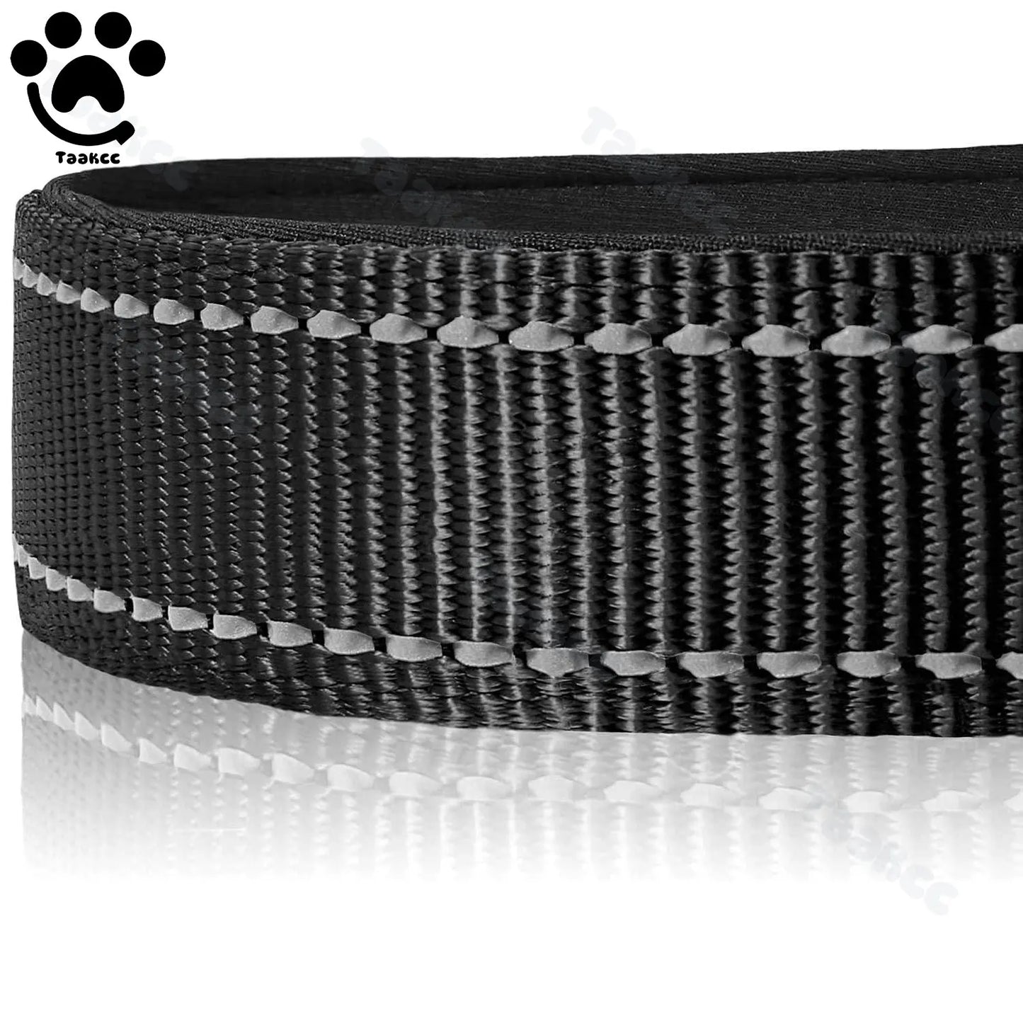 Collier Réfléchissant Personnalisé et Rembourré