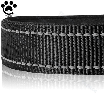 Collier Personnalisé Rembourré Réfléchissant Gravure Offerte