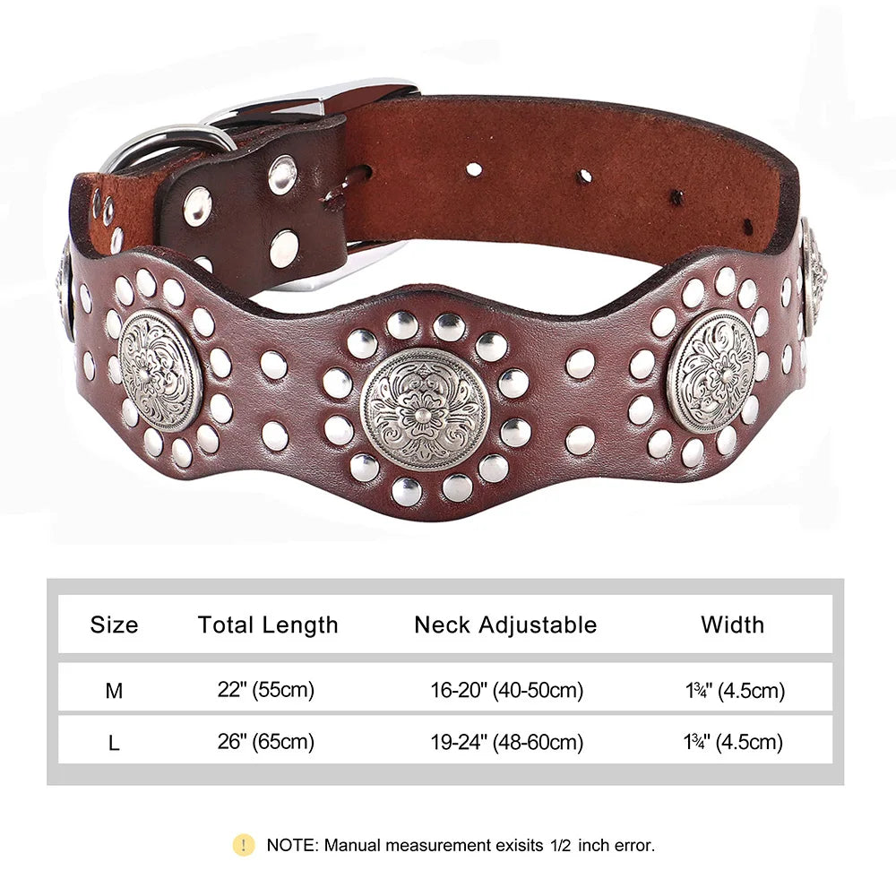 Collier Cuir Véritable Clouté 5cm pour Chien
