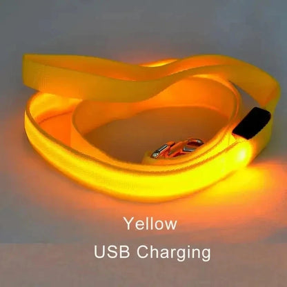Laisse Lumineuse LED Rechargeable USB pour Chien
