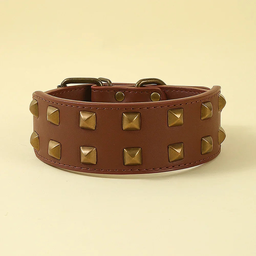 Collier Clouté Large 5cm pour Chien Robuste