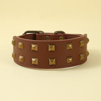 Collier Clouté Large 5cm pour Chien Robuste