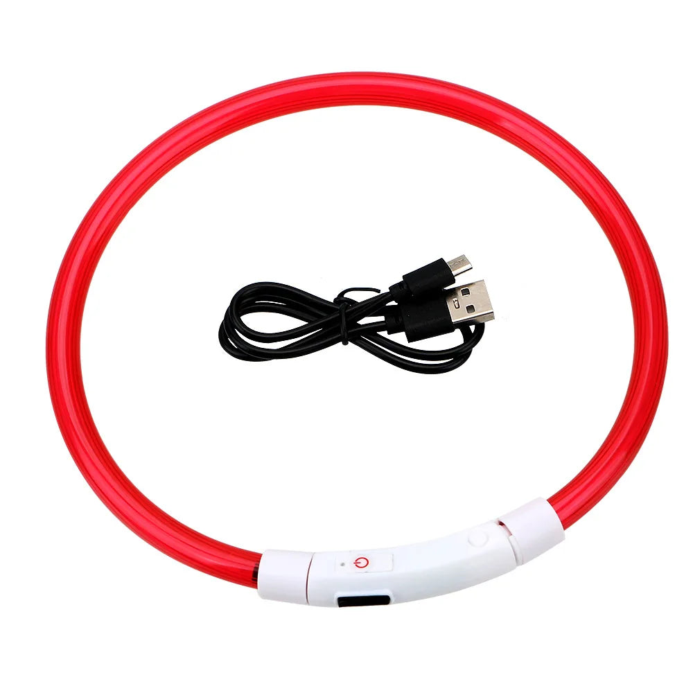Collier LED USB Rechargeable pour Chien
