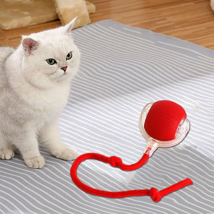 Balle Roulante Automatique pour Chat