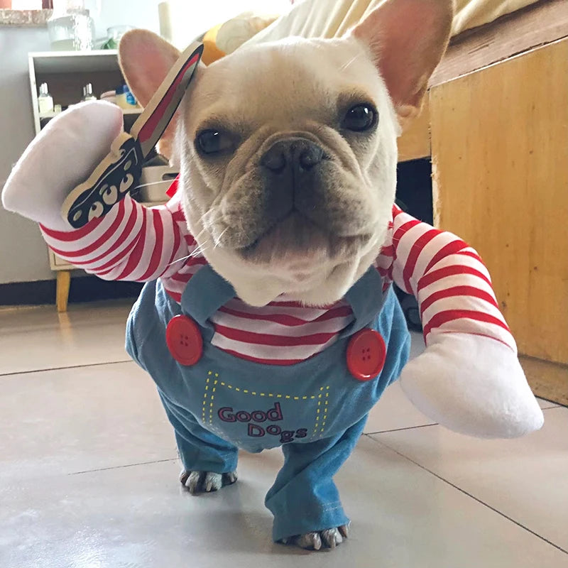 Déguisement Halloween Rayé pour Chien