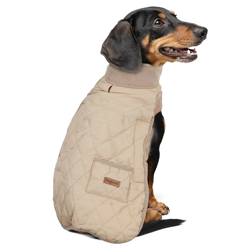 Manteau Matelassé pour Teckel