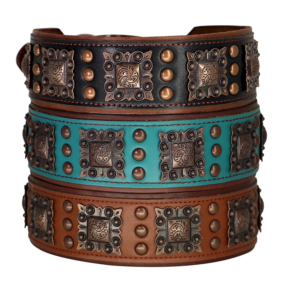 Collier Cuir Véritable Clouté 5cm pour Chien