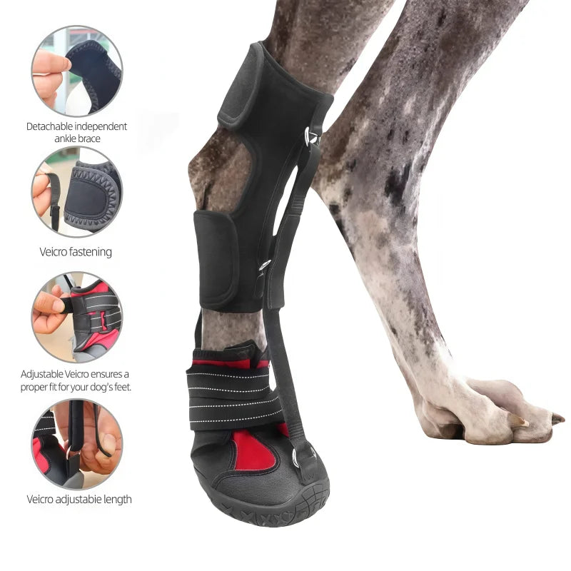 Bottes Antidérapantes Respirantes pour Chien