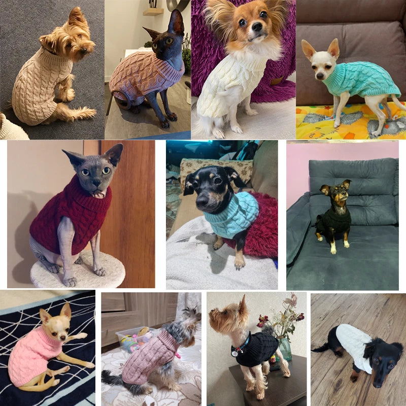 Pull Col Roulé Tricoté pour Petit Chien
