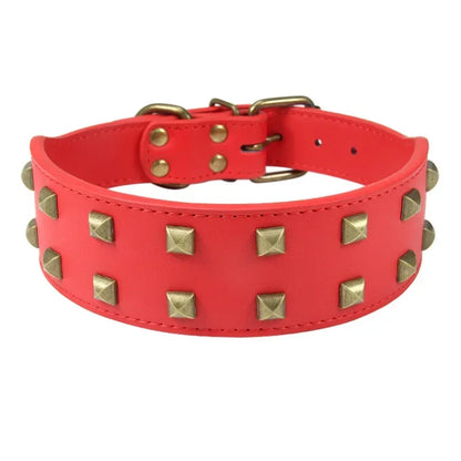 Collier Clouté Large 5cm pour Chien Robuste