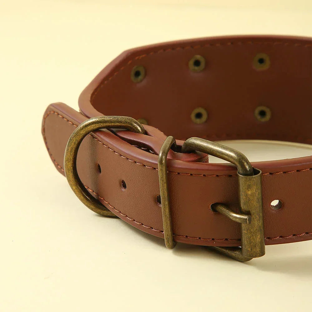 Collier Clouté Large 5cm pour Chien Robuste