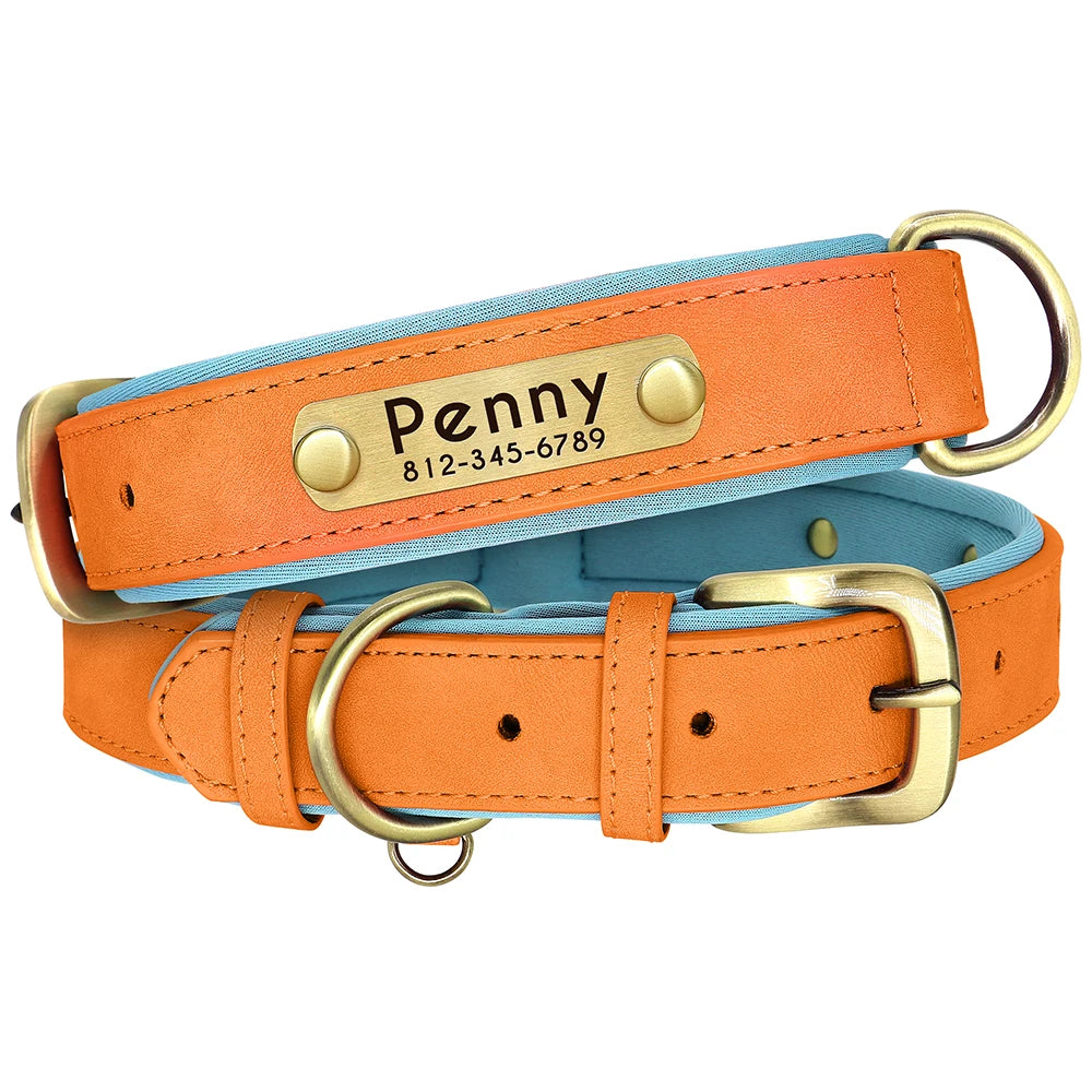 Collier Personnalisé Rembourré avec Plaque