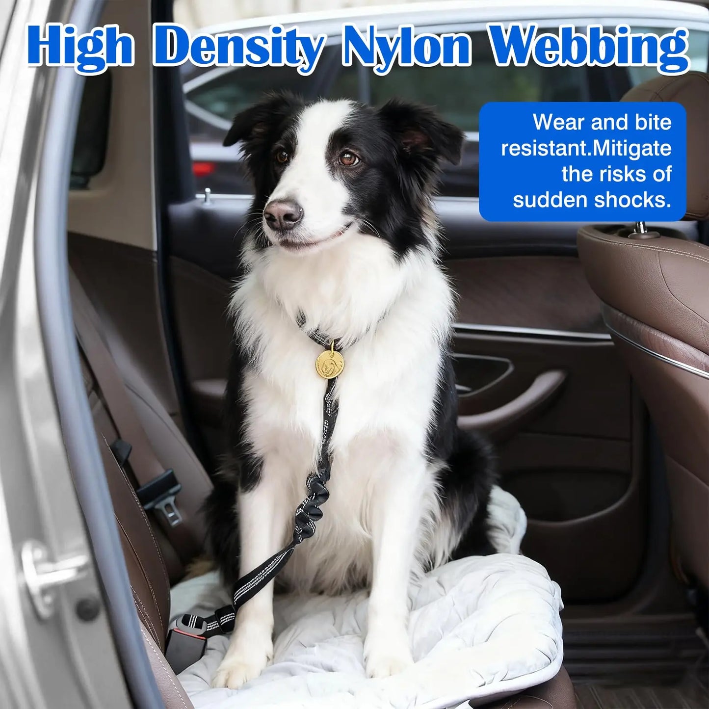 Ceinture de Sécurité Amortie Réfléchissante pour Chien