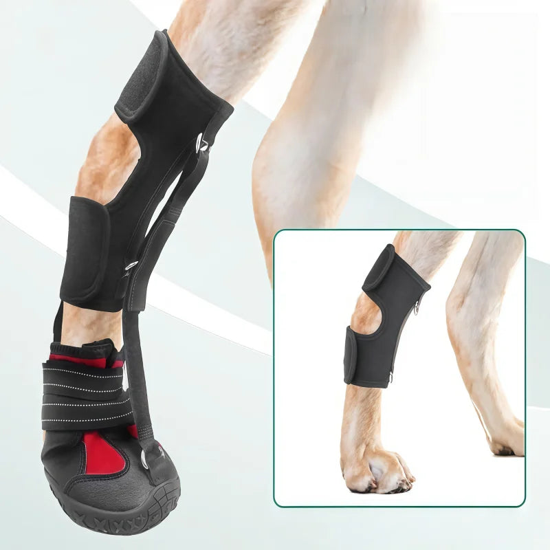 Bottes Antidérapantes Respirantes pour Chien
