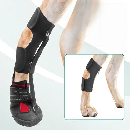 Bottes Antidérapantes Respirantes pour Chien