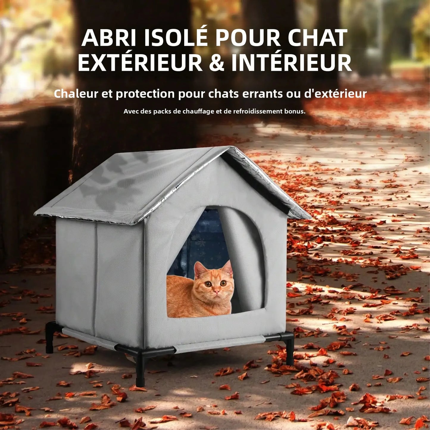 Maison Isolée Toutes Saisons pour Chat