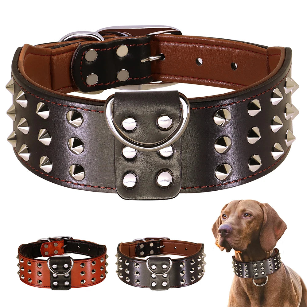 Collier Clouté Large Cuir Véritable pour Grand Chien