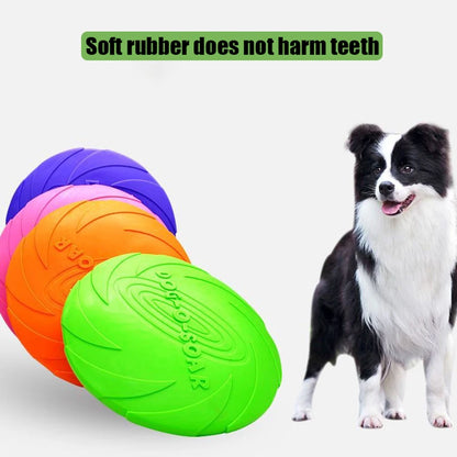 Frisbee pour Grand Chien