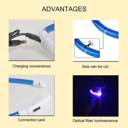 Collier LED USB Rechargeable pour Chien