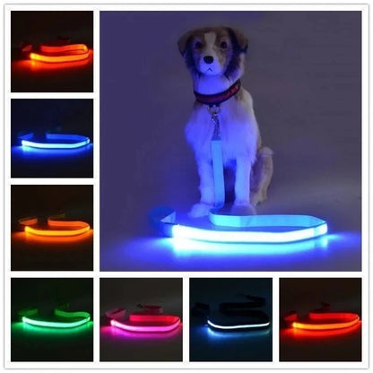 Laisse Lumineuse LED Rechargeable USB pour Chien