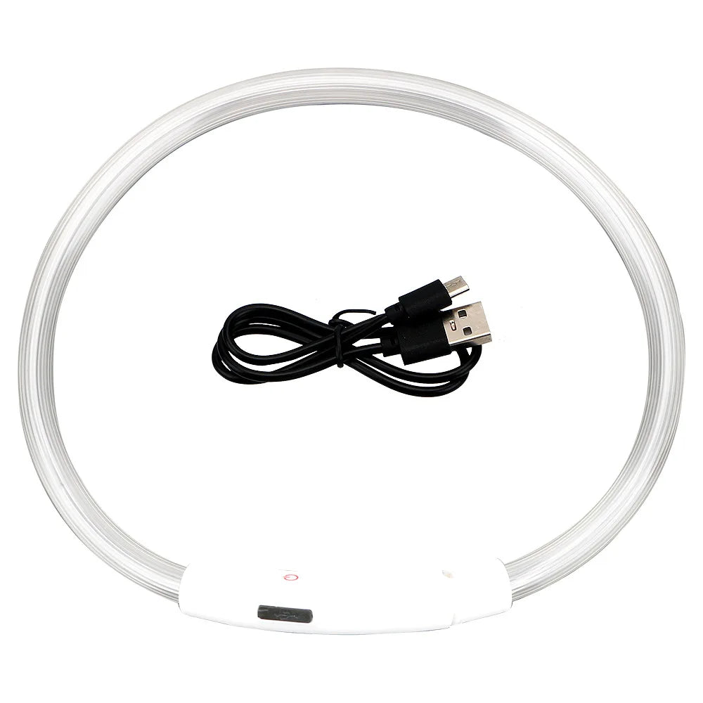 Collier LED USB Rechargeable pour Chien