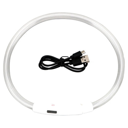 Collier LED USB Rechargeable pour Chien