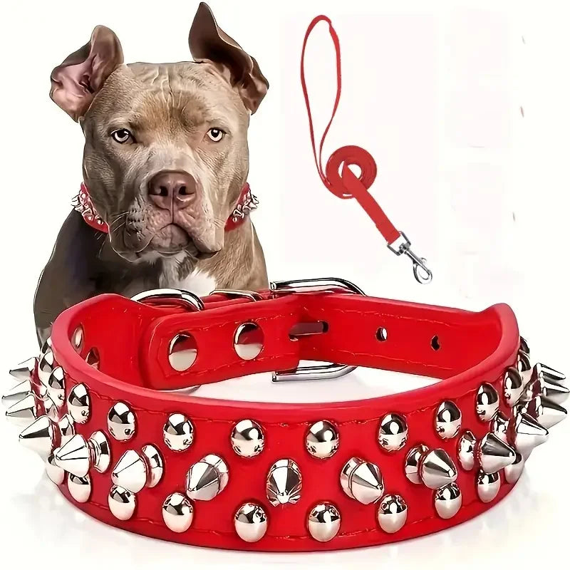 Collier Clouté avec Laisse pour Chien