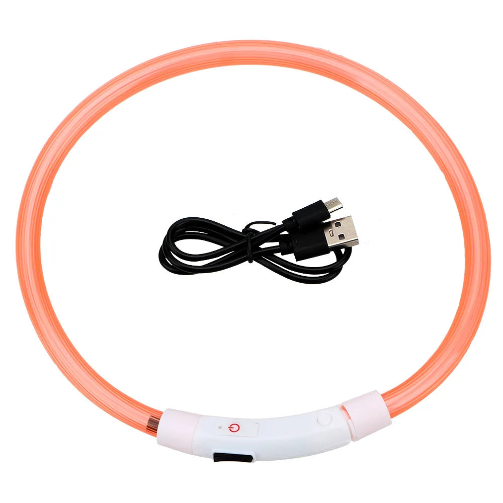 Collier LED USB Rechargeable pour Chien