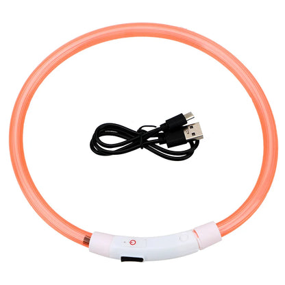 Collier LED USB Rechargeable pour Chien